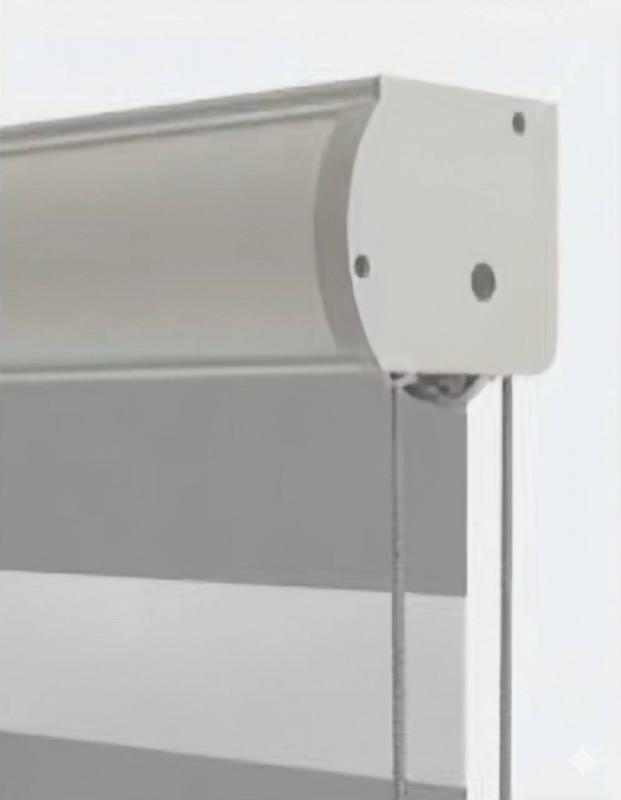 Hệ thống động cơ Standard